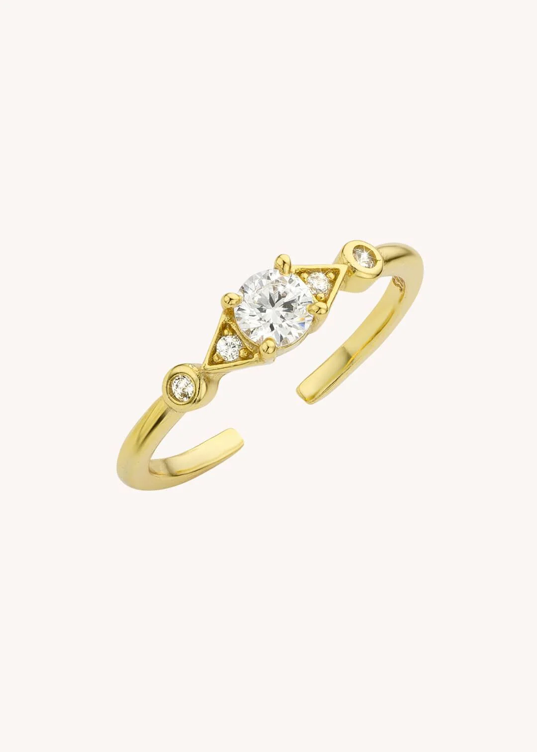 BAGUE - AKITA