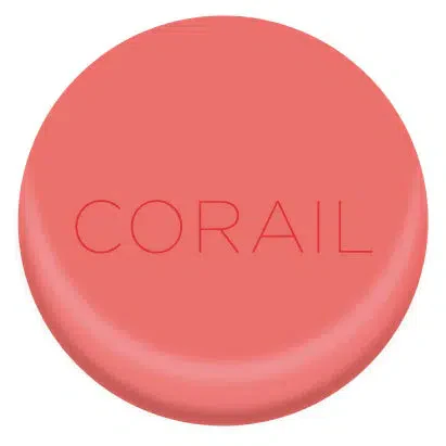 BAUME À LÈVRES MÉTAL - NOIX DE COCO - Image 3