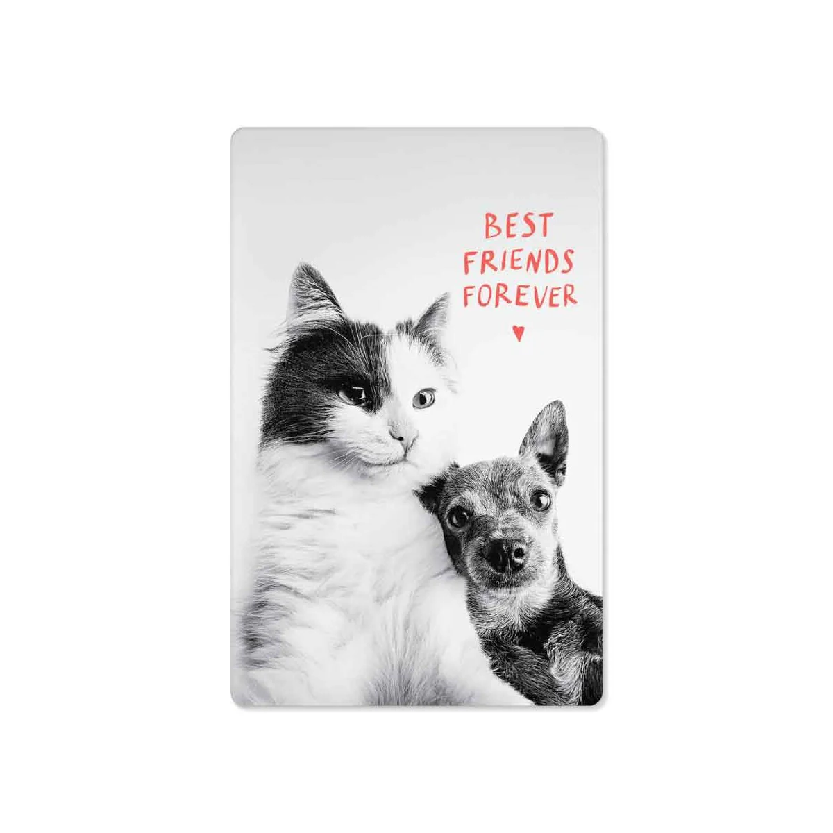best friends forever