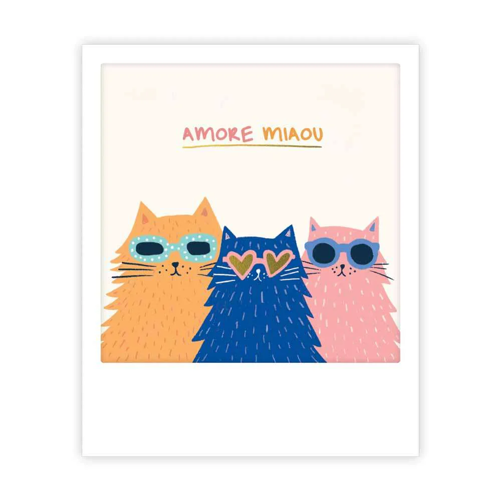 amore miaou - Image 3