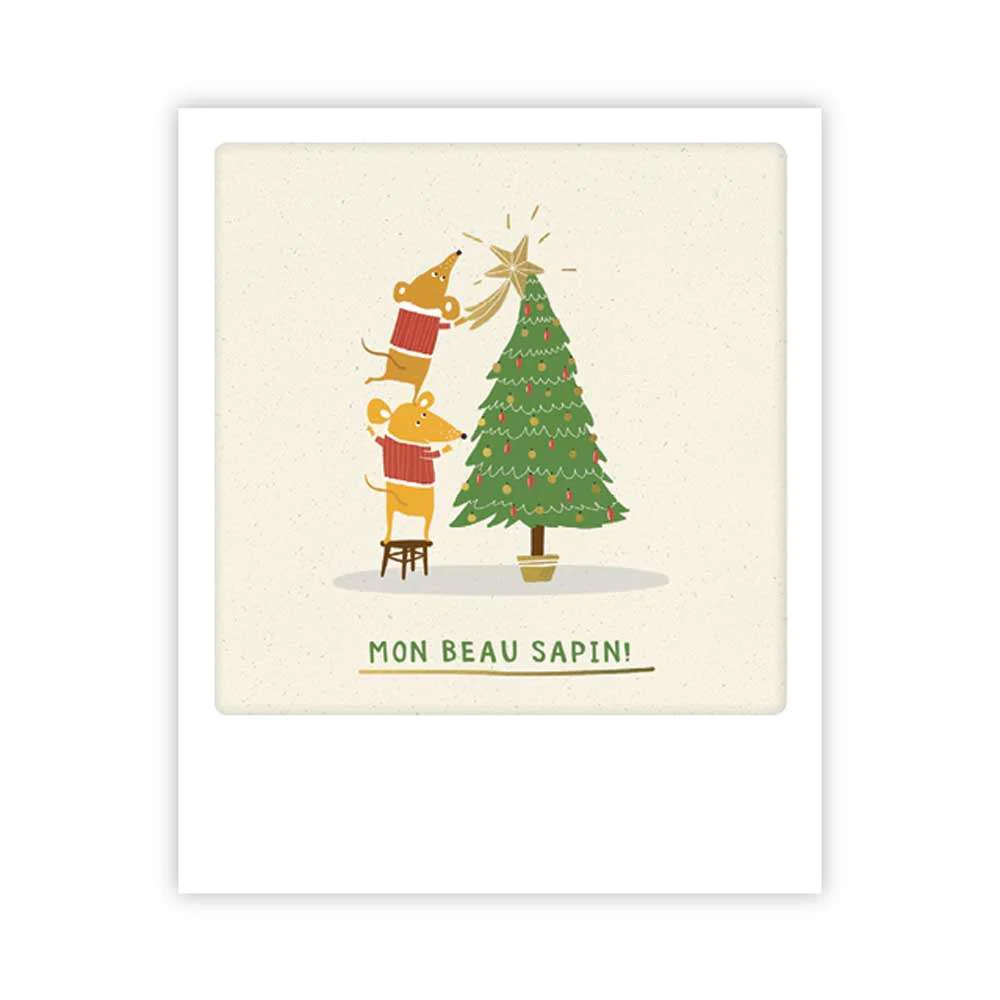 Carte postale - Format Polaroide - beau sapin