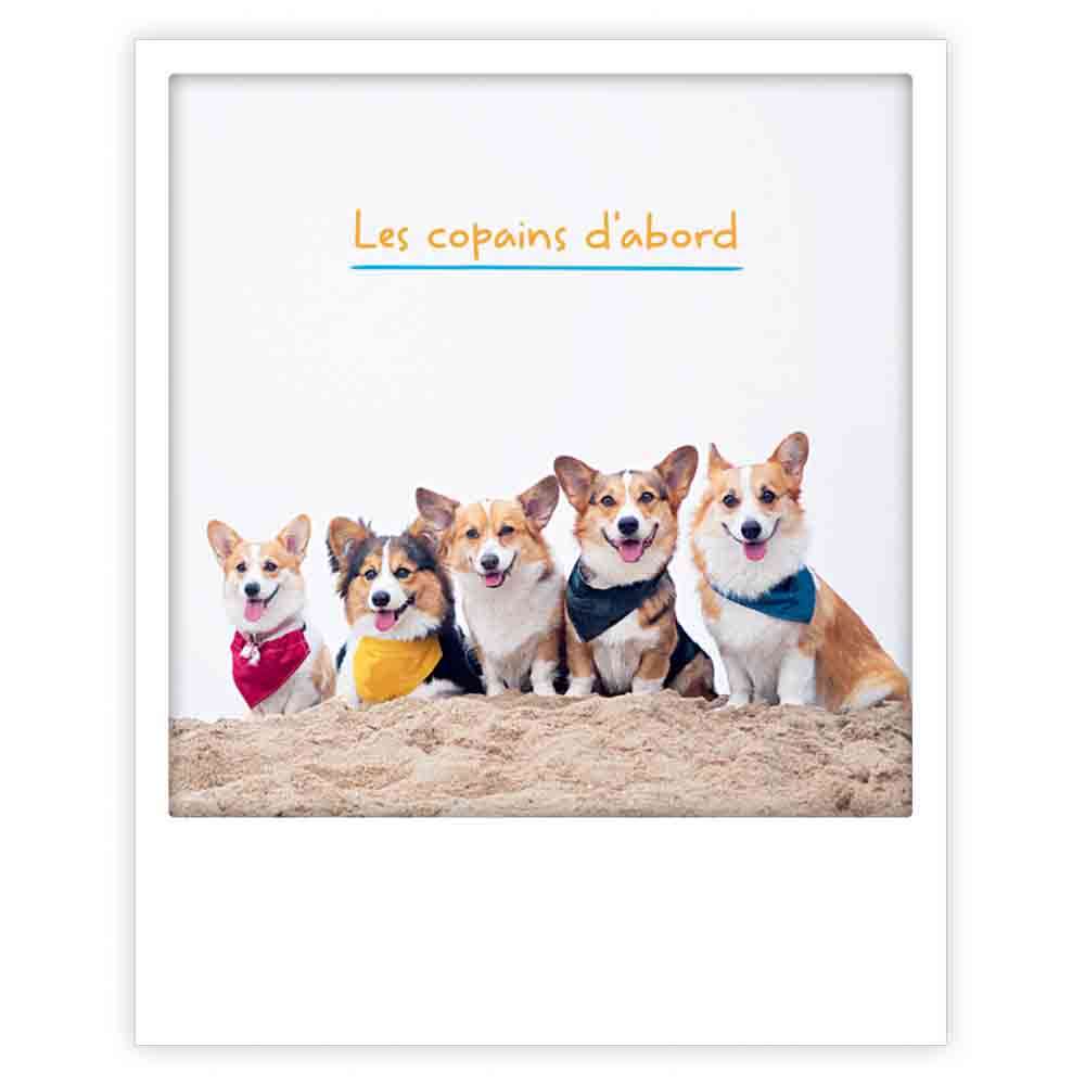 les copains d'abord - Image 2