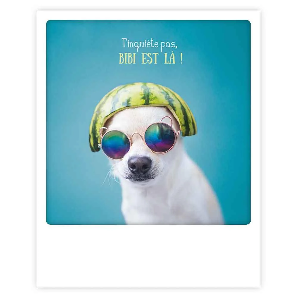 Carte postale - Format Polaroide - T'inquiète pas, BIBI est là