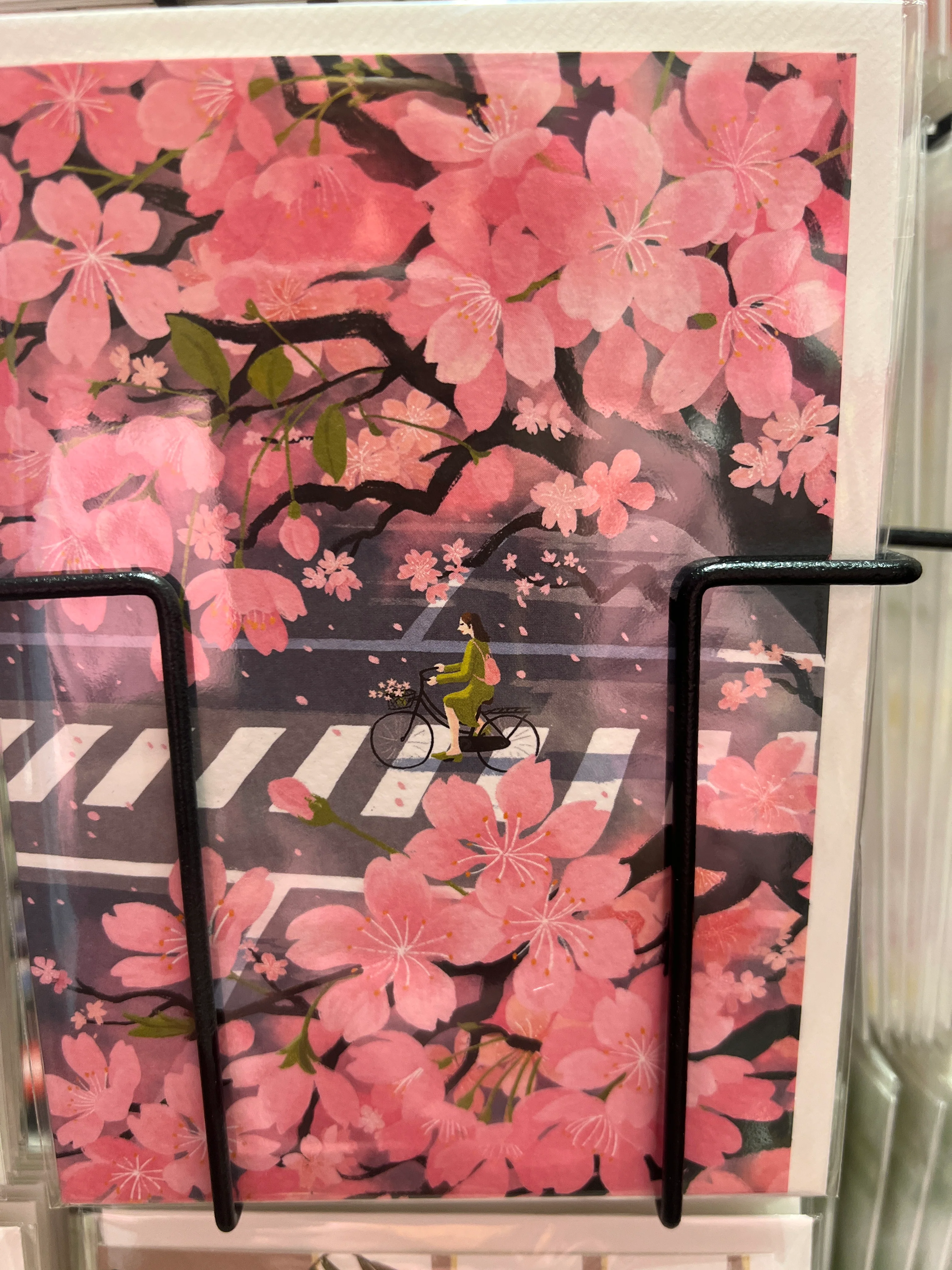 Cherry blossoms