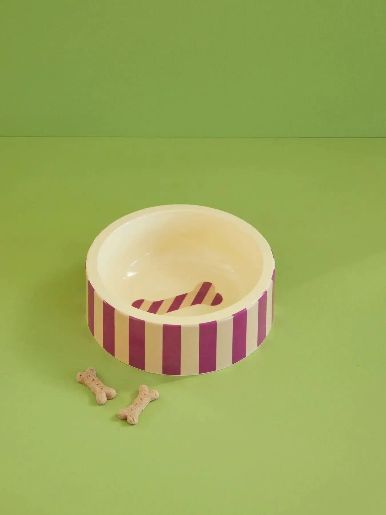 Gamelle pour chien