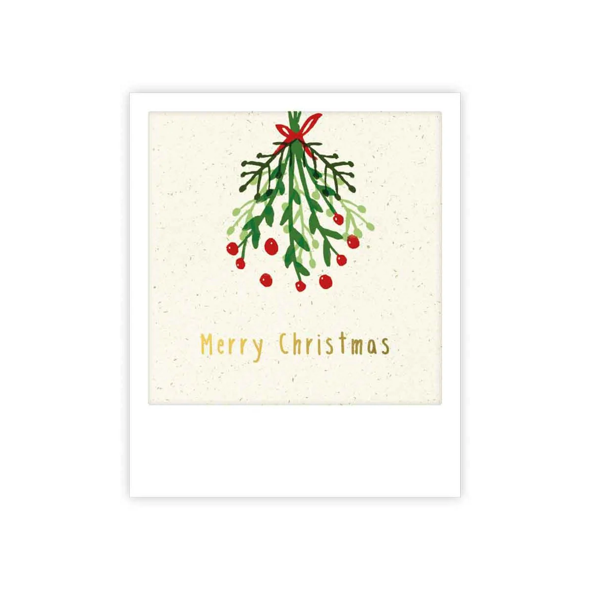merry christmas misteltoe
