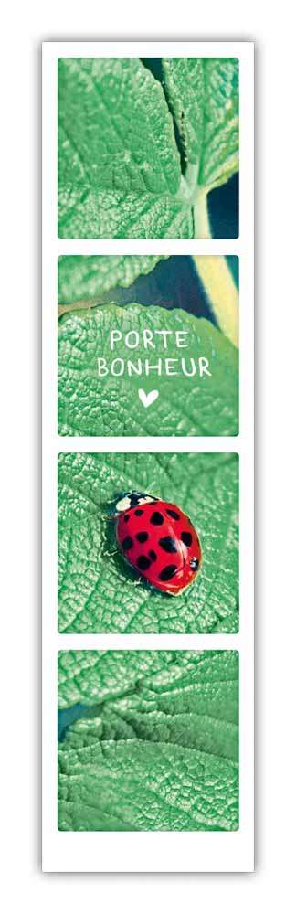 porte bonheur ladybird