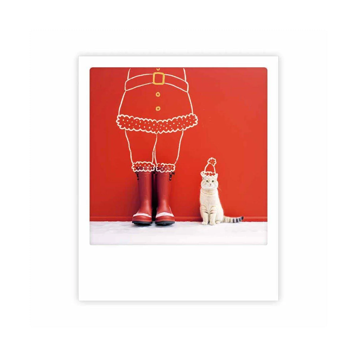 santa cat